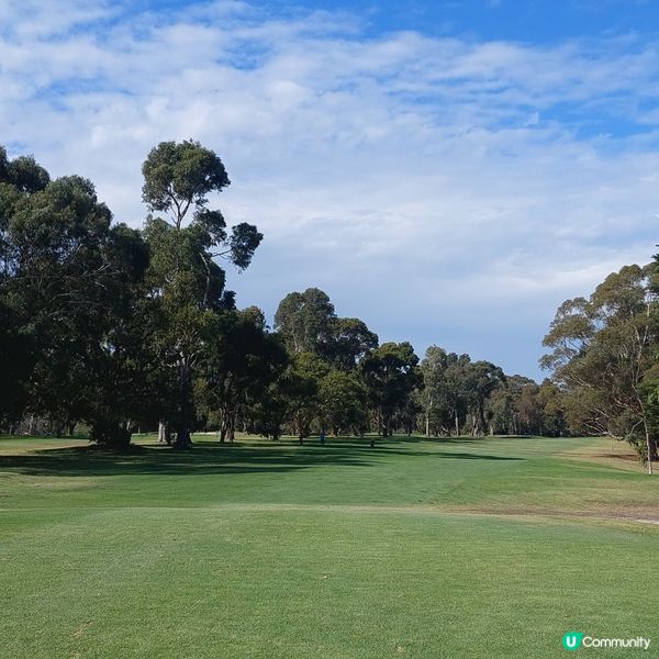 墨爾本高爾夫公眾場⛳️推介👍
