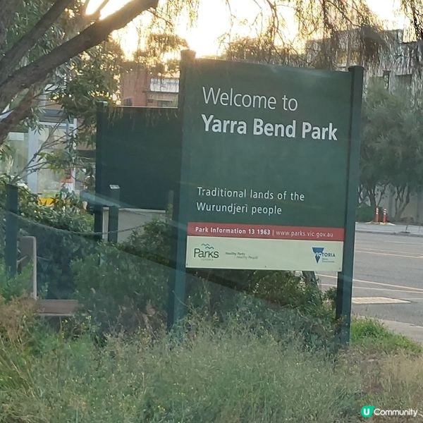 墨爾本高爾夫公眾場⛳️推介👍