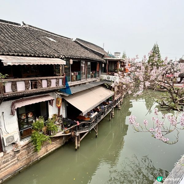 上海朱家角古鎮半日遊