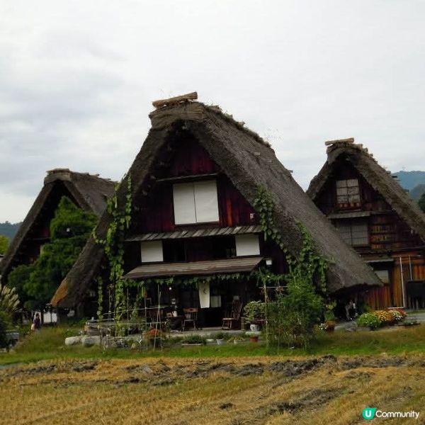 日本中部之美😍🤩飛彈高山+白川鄉