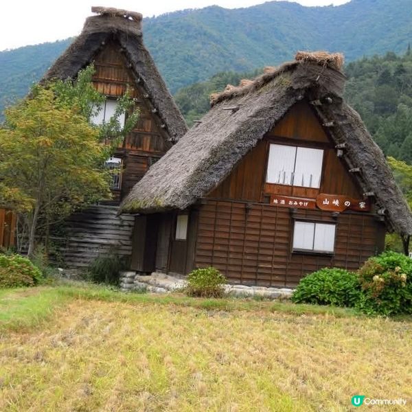 日本中部之美😍🤩飛彈高山+白川鄉