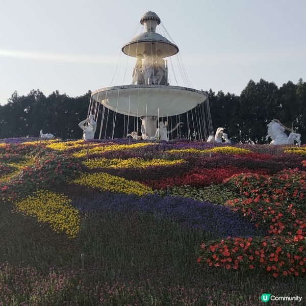 🏰台中必去超靚打卡熱點🔥九族文化村歐式花園超華麗💜