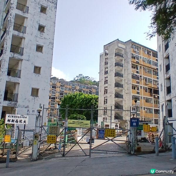 石硤尾懷舊風味 🥢 品香樓回憶之旅