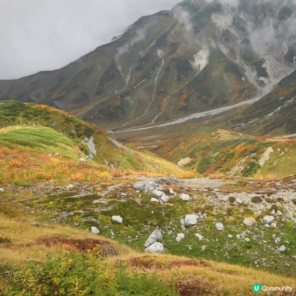 日版阿爾卑斯小瑞士🤩立山黑部🤗