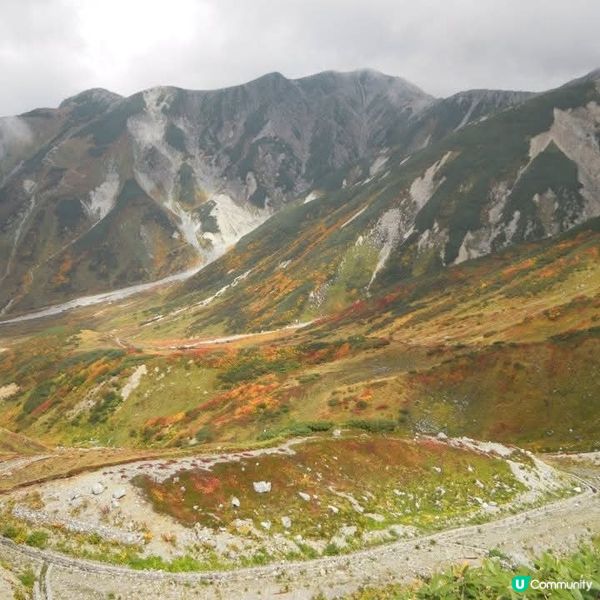 日版阿爾卑斯小瑞士🤩立山黑部🤗