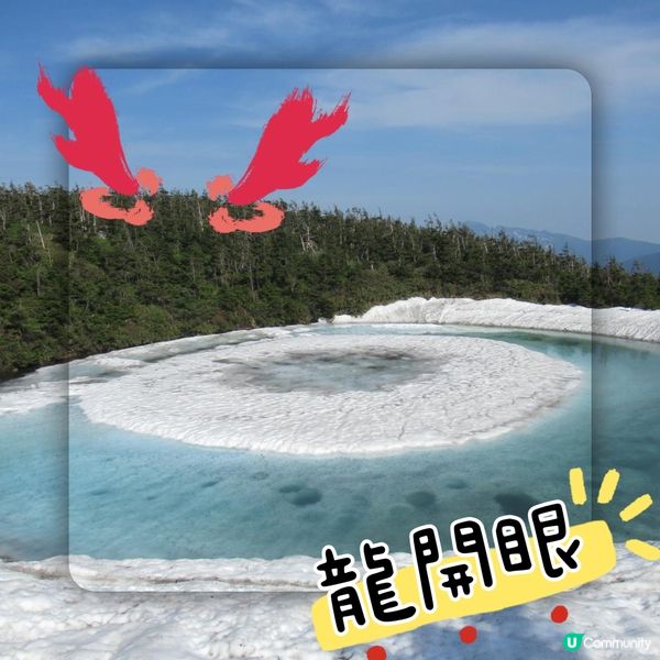 🌟一年一度「龍開眼」👀