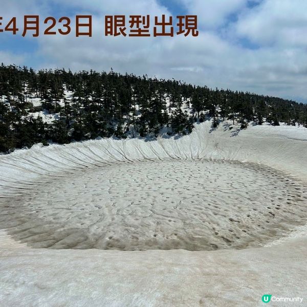 🌟一年一度「龍開眼」👀