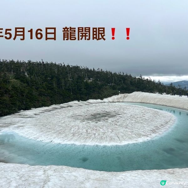 🌟一年一度「龍開眼」👀