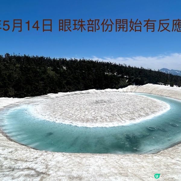 🌟一年一度「龍開眼」👀