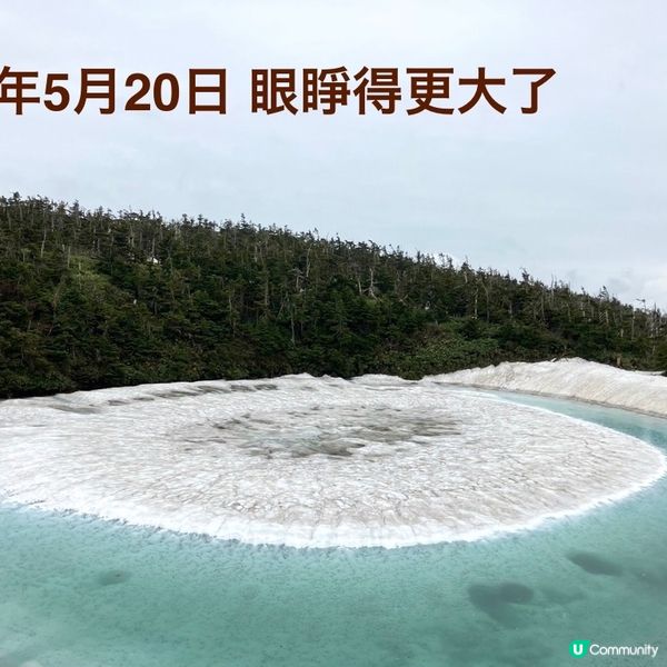 🌟一年一度「龍開眼」👀