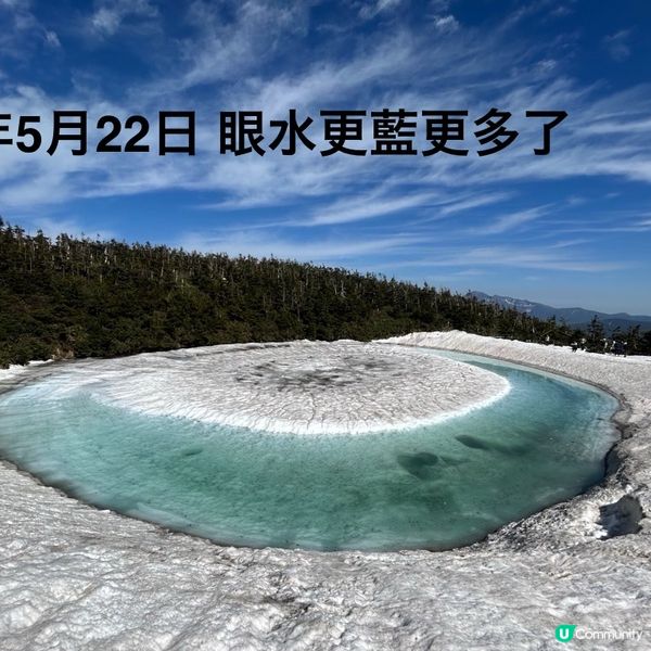 🌟一年一度「龍開眼」👀