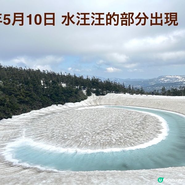 🌟一年一度「龍開眼」👀