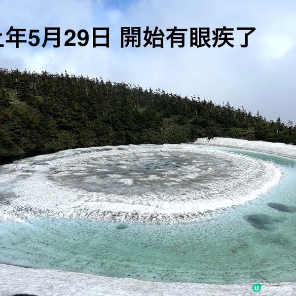 🌟一年一度「龍開眼」👀