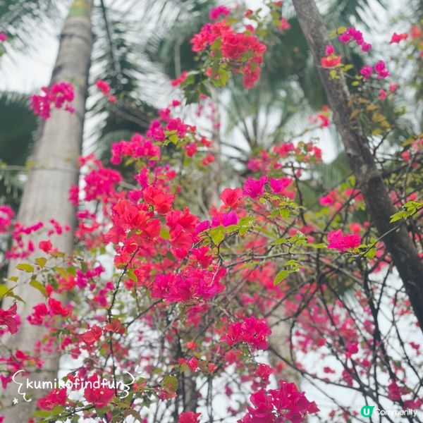 深圳錦繡中華，一日遊遍28個民族！🤩