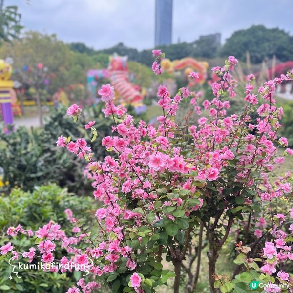 深圳錦繡中華，一日遊遍28個民族！🤩