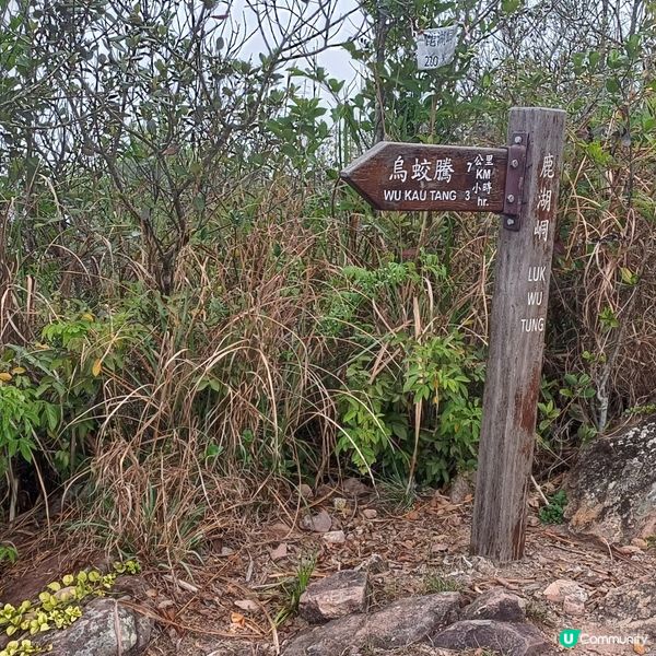 環船灣淡水湖郊遊徑