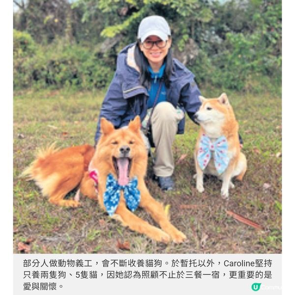 是女強人也是動物義工及貓奴 照顧毛孩是一生的承諾
