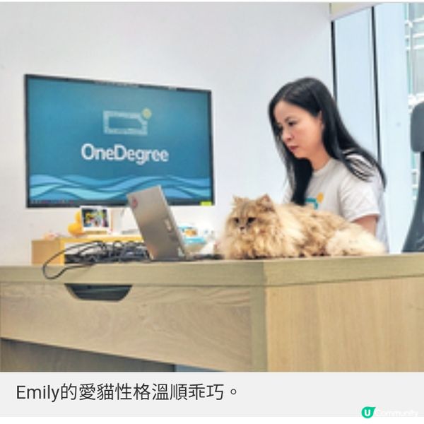 是女強人也是動物義工及貓奴 照顧毛孩是一生的承諾
