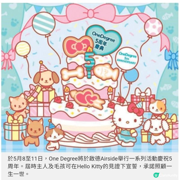 是女強人也是動物義工及貓奴 照顧毛孩是一生的承諾
