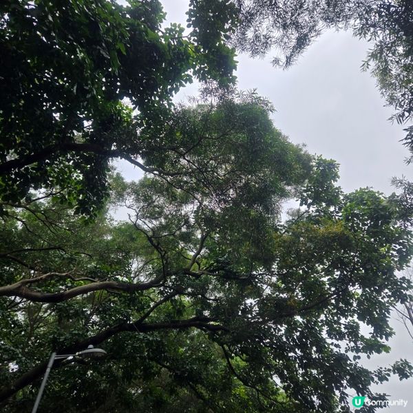 #UCreator #打卡美食 #好去處 #全新景點 #ch...