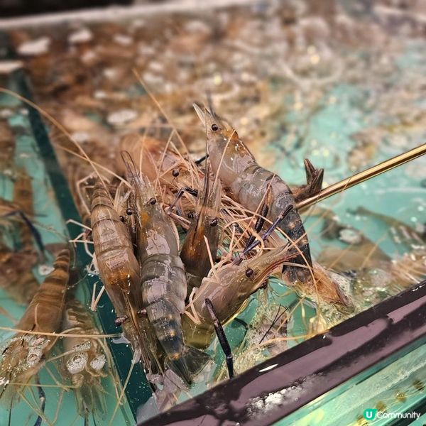 高質活海鮮🦀M5和牛🐂 3小時輕鬆回本😙