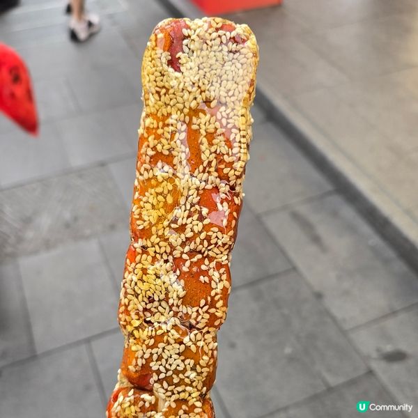 舟記海鮮市集火鍋🦐🦀🦞🐙🐟🐚