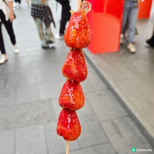 舟記海鮮市集火鍋🦐🦀🦞🐙🐟🐚