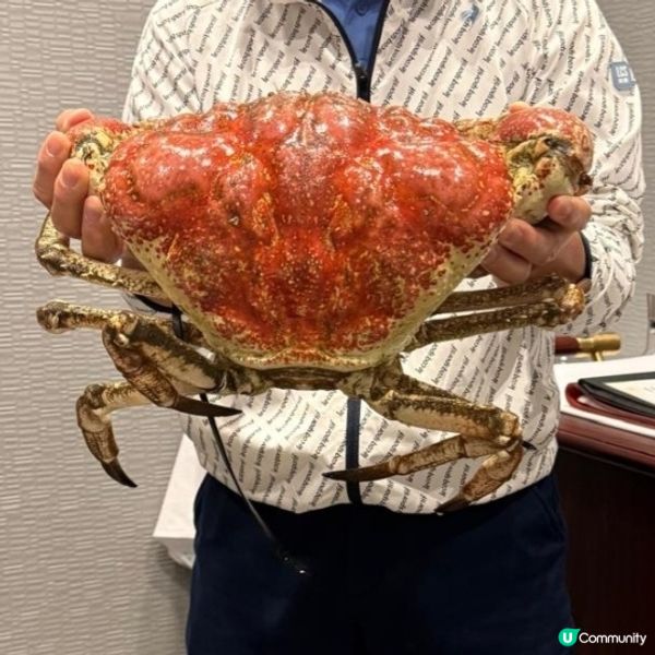 巨型皇帝蟹🦀