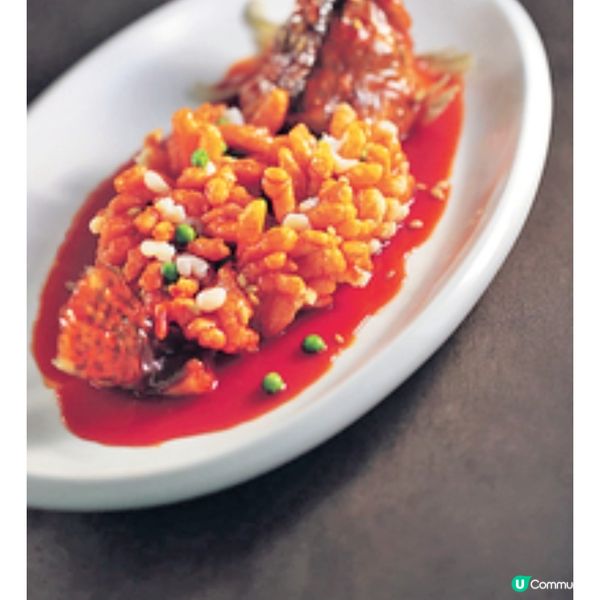 K11兩大商場匠心美饌之旅 東京人氣雞白湯拉麵設香港首店