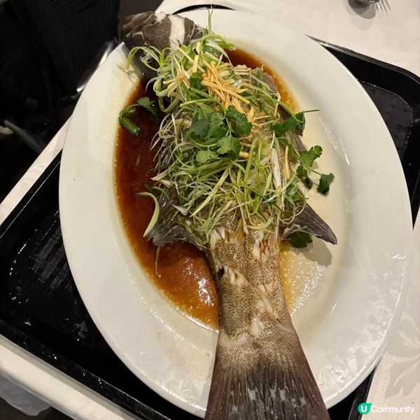 餐廳戶外望向悉尼歌劇院及大橋🌉