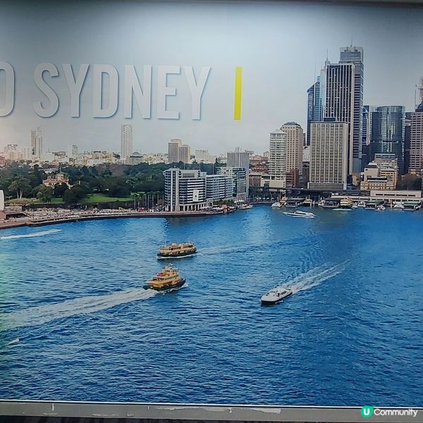 餐廳戶外望向悉尼歌劇院及大橋🌉