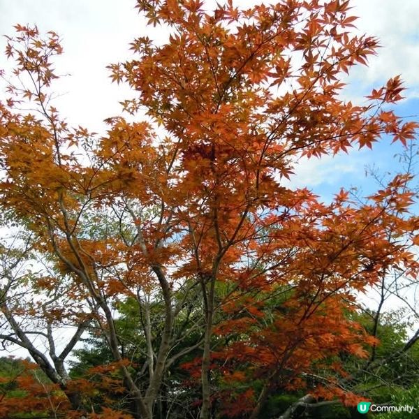 體驗明治時代的建築和歷史文化