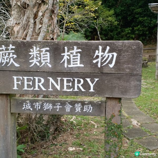 大自然其實很奇妙