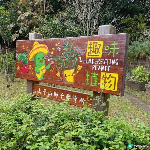 大自然其實很奇妙