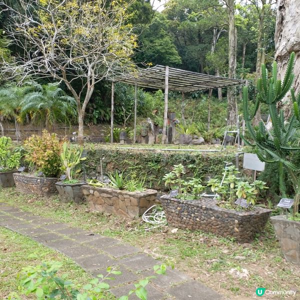 大自然其實很奇妙