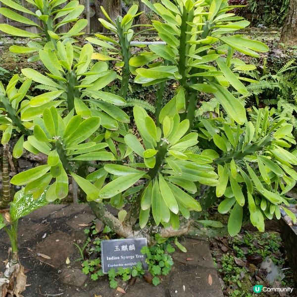 大自然其實很奇妙