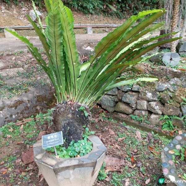 大自然其實很奇妙