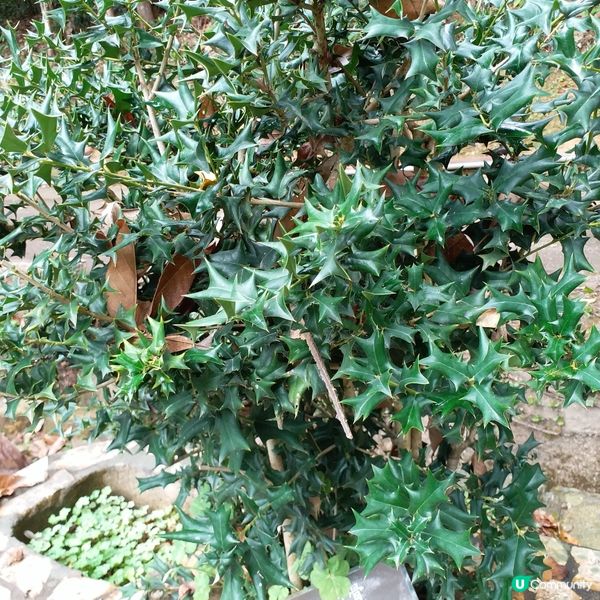 大自然其實很奇妙