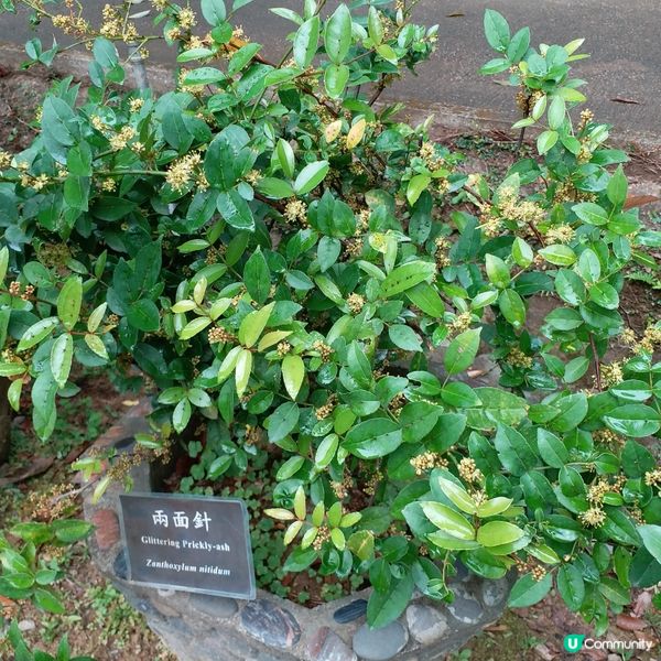 大自然其實很奇妙