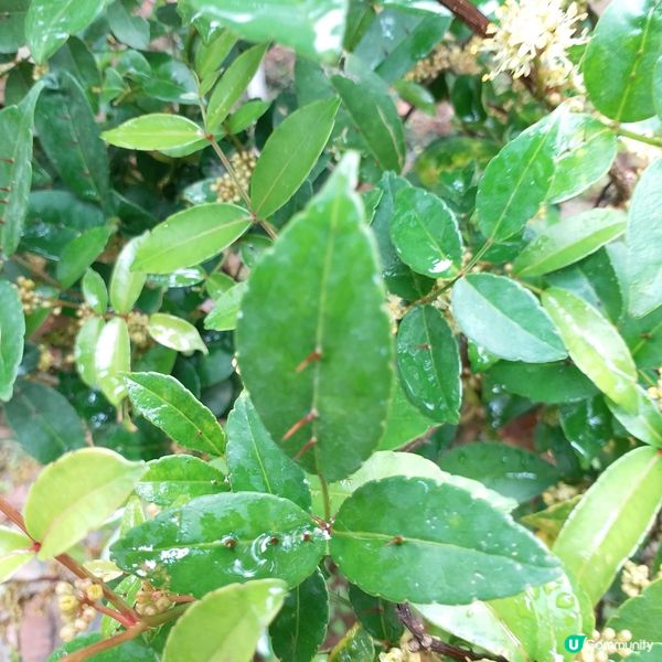 大自然其實很奇妙