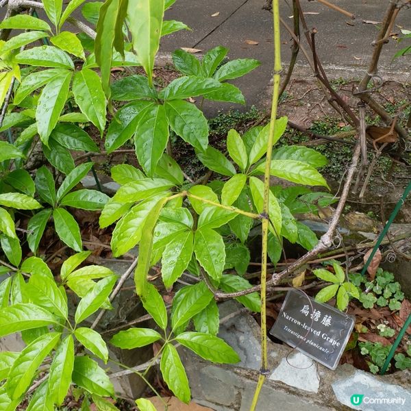 大自然其實很奇妙