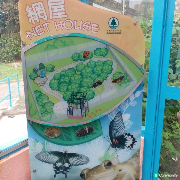 鍾意植物真係可以去睇下