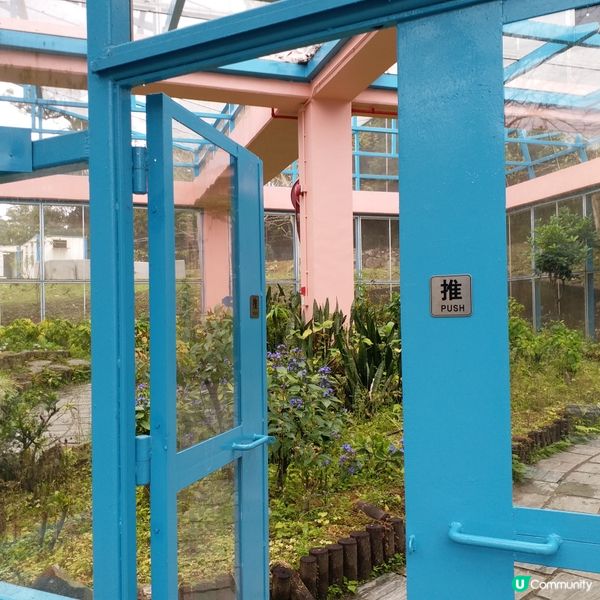 鍾意植物真係可以去睇下