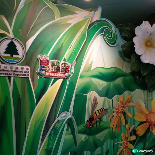 鍾意植物真係可以去睇下