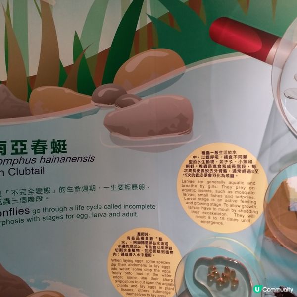 鍾意植物真係可以去睇下