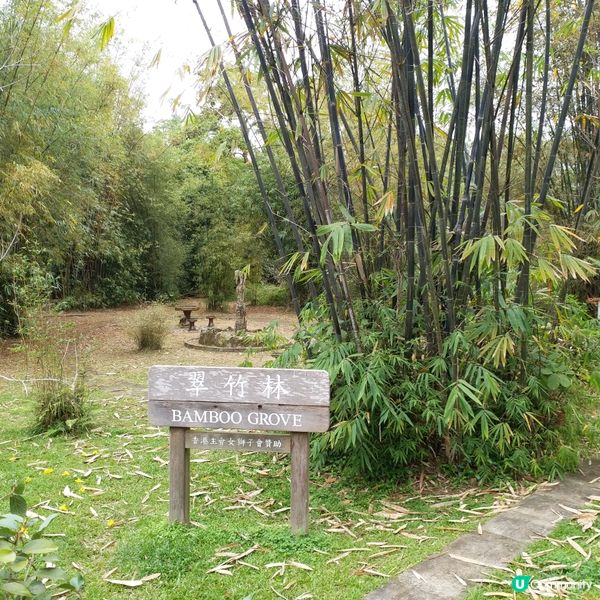 鍾意植物真係可以去睇下