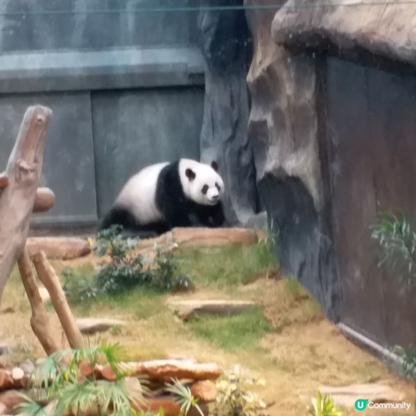 生日免費遊Ocean Park