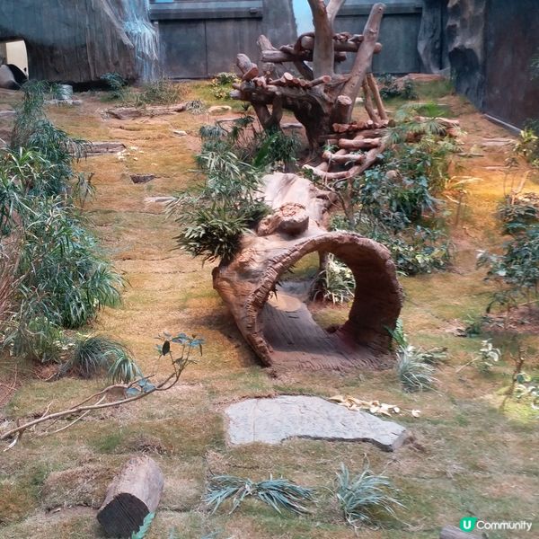 生日免費遊Ocean Park