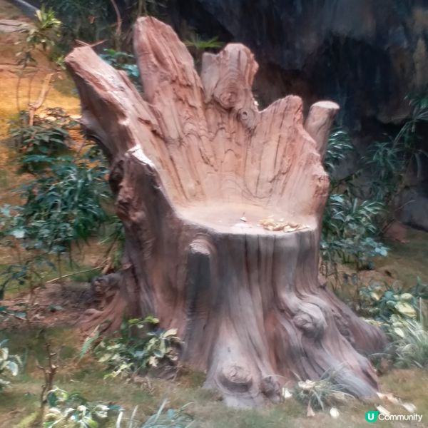 生日免費遊Ocean Park