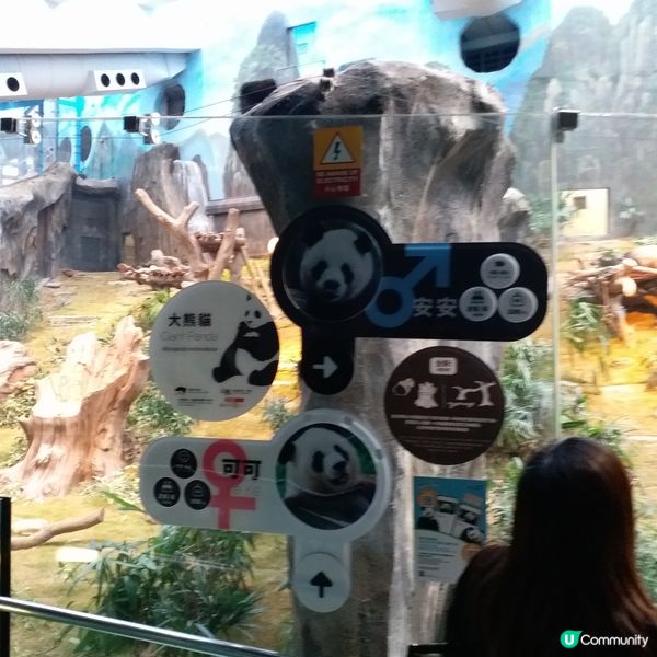 生日免費遊Ocean Park